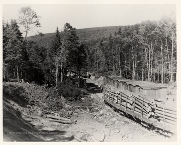 Cass, W. Va.; D.D. Brown Collection