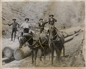 From Marshall Blizzard, Bayard, W.Va. July 1903