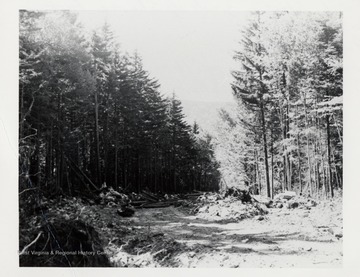 Cass, WV; Looking from railhead; D.D. Brown Collection