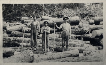 Willdell, W.Va. 1911; Source of original: Earl Whitlach, Mill Creek, W.Va.