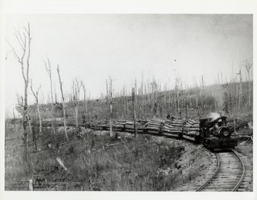 Lumber train on tracks moving through heavily lumbered area. <br />