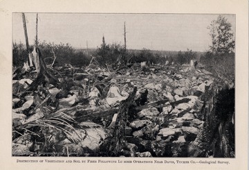 Near Davis, Tucker Co.-- Geological Survey.