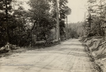 The wood of blight killed chestnut if used within five years is suitable for ties or lumber.  Narrow and standard guage railroads constitute the farmers market for his tie timber.