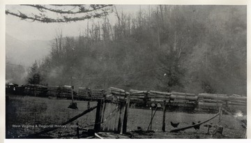 Log Train passing along hillside.