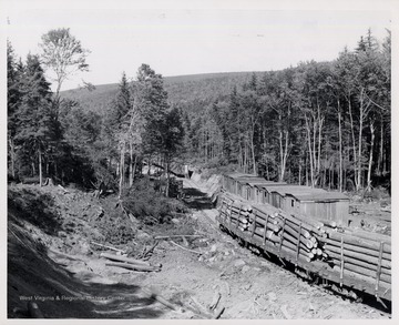 Log train passing logging camp. Note Log Dump in Foreground, Mower Lumber Co.