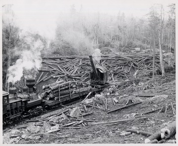 Crane loading logs onto train.