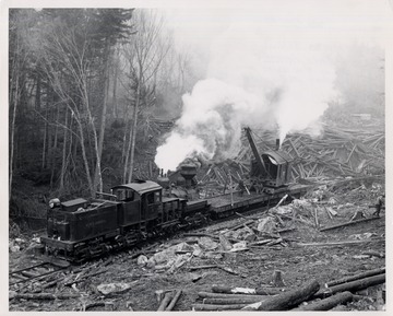 Train engine and crane working in log yard.