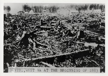 Timbered land covered with stumps in forground; Homes and buildings in background.