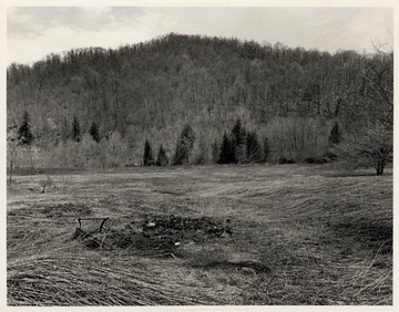 Former Site of Logging Town of Three Forks of Williams River, Webster County.  