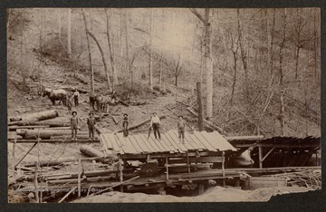 Men and horses at a lumber mill.