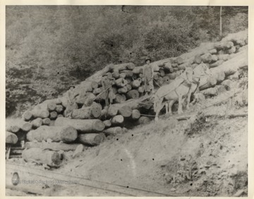 Spice Run Lumber Company.  Men and horses pull logs.