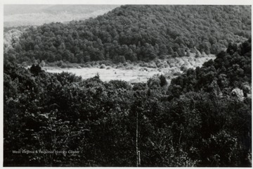 Cleared out space in the forest at Spruce, W.Va.  Photo made from a Kodachrome slide.