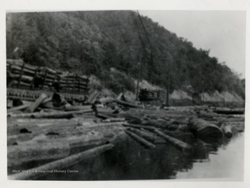 Logs float on pond.  