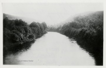 Cheat River bordered by trees.