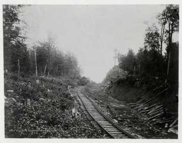 There were 2 engines used in making the cut, No. 4 Engineer Robert Dean, No. 2 Engineer was Lewis (Pinhead) Collins.  There were 10-30 yd. cars and 10-20 yd. cars.  This is Engine #4 backing down with 10-30 yd. cars.  