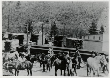 Men with horses, timber piles in the background.