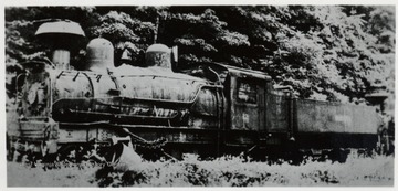 Lima Shay c/n 3156 (192 tons) BH 1921 Class c 150, Rebuilt Cass shops Class 'D' 192 sitting on siding at Cass after final retirement in 1945? Scrapped Cass, W.Va. in 1951 or 55?  (Shay behind believed to be No. 13 c/n 1586 Class 'D' 150) BH 1906.  Gear Ratio 1 to 2.45.  