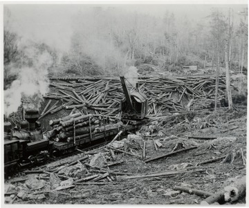 Loader placing logs on lumber cars. 