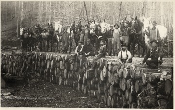 Group portrait crew members and horses standing on top of logs.