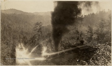 Train travels through a wooded area.  