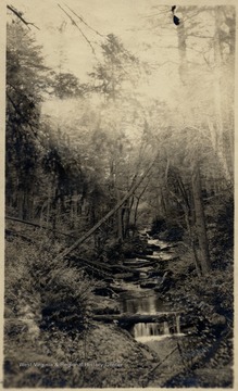 Waterfall on Little Sugar Creek.