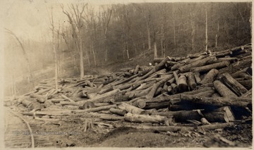 Log dump beside train tracks.