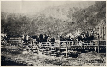 Loggers pose with their horses.