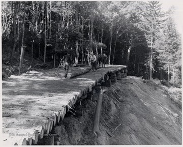 One of the last teams on Cheat Mountain.  Mower Lumber Company.  Location: Shavers Fork of Cheat.