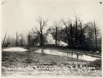 Man and horses standing over near the trees.