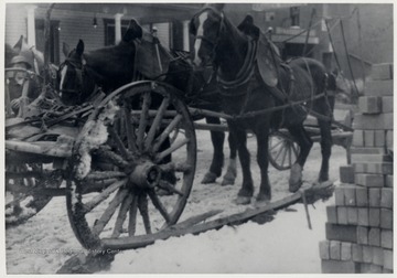 Team of horses and a wagon.