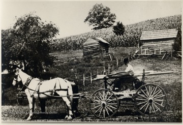 Shooter's wagon with his team of horses carrying nitroglycerin.