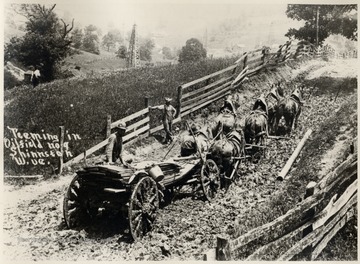 Team of six horses pulling a wagon through mud. Oil derricks in the background.