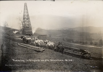 Team of six horses pulling pipes up a hill.  