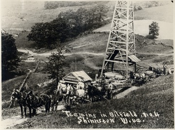 Teams of horses hauling supplies by a derrick. 