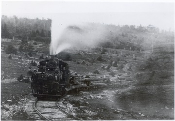 Engine hauling a string of flat cars piled with logs.