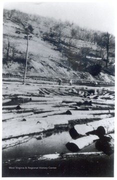 Many logs floating in a river or pond.