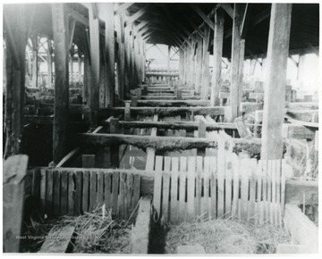 Salt grainer vats. Salt was lifted out of vats and drained.