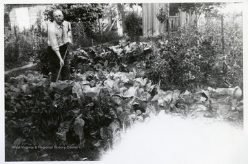 Henry Dunfee in his first garden in Cabell County which produced enough to fill the basement with about 700 jars and kept the table full all summer.