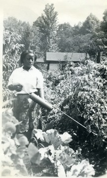 Woman spraying a garden for insect control in Kanawha County.