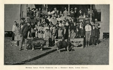 A group portrait of children and farm animals gathered for a District Show in  Lewis County.