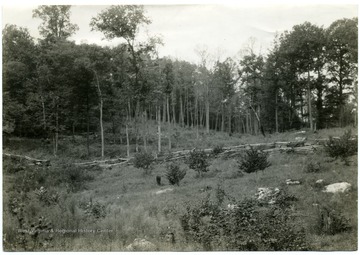 The 'rough stony land' of which there are about 92,000 acres in Nicholas and Webster Counties is mostly in forest.