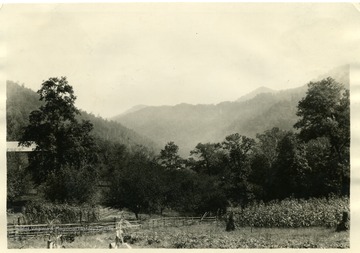 Picture of a garden with a house to the left. Entire area surrounded by woodlands. This rough broken country with Dekalb stony loam soil is best utilized by growing timber. 