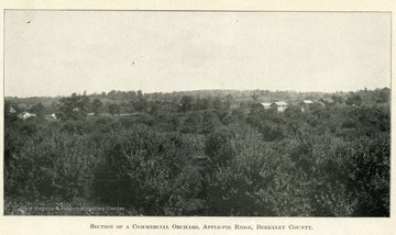 A scenic view of a rural area with buildings in the background.