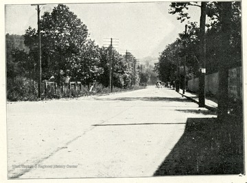 Cut No. 5. National road Ohio Co., where macadam has been replaced with brick paving.