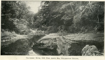 A small rocky, mountain stream surrounded by woodland.