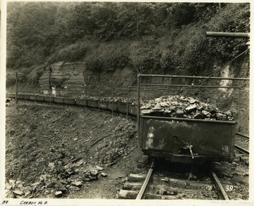 Train cars filled with coal from the Carbon Fuel Co. No. 5.