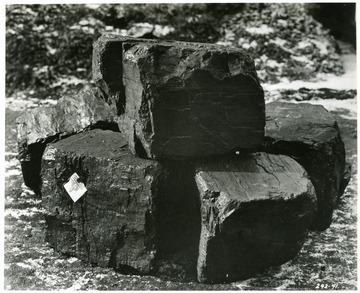 Close up of blocks of Coal.