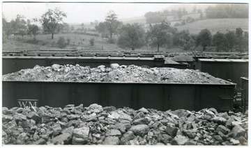 Filled coal cars at Thomas, W. Va. 