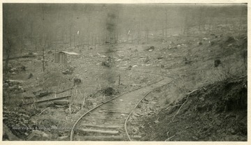 Tracks running through deforested area.