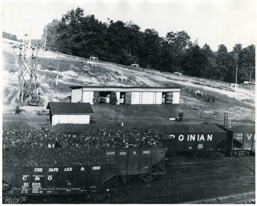 Chesapeake and Ohio and Virginian Coal Cars with a shed in the background. 